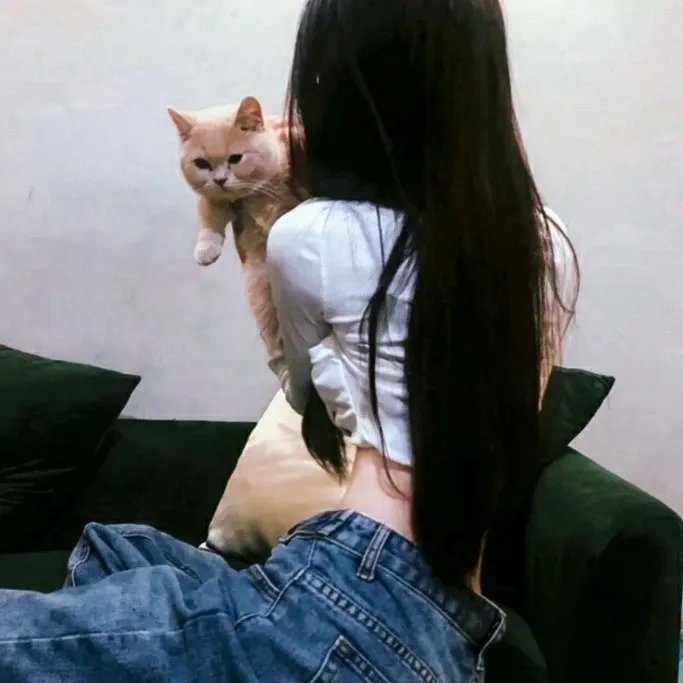 我下载了一只鬼